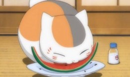 娱乐吃瓜酱棉袄猫窝,揭秘明星温馨家居生活