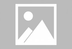 娱乐吃瓜酱牛肉视频