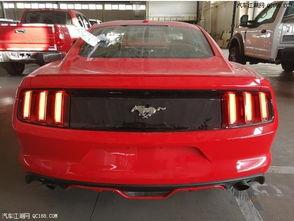 野马奇迹,从边缘到巅峰的逆袭传奇